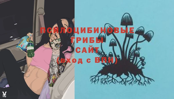 альфа пвп Абаза