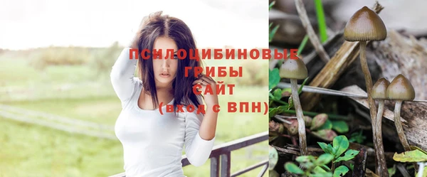МДПВ Алексин