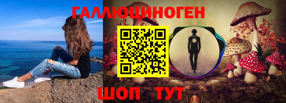 где можно купить   Вход с VPN  Псилоцибиновые грибы Psilocybine cubensis  Каменка  Псилоцибиновые грибы Cubensis 