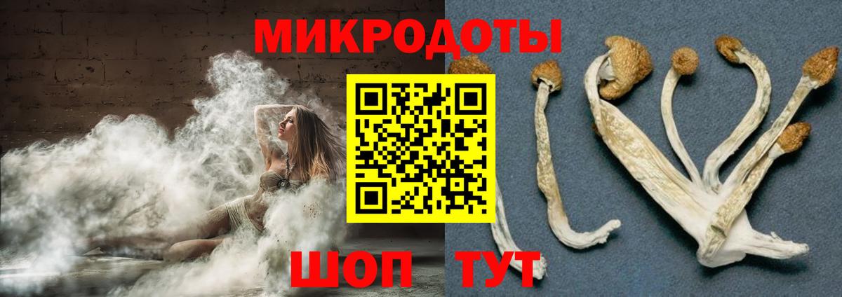 Псилоцибиновые грибы мицелий Каменка